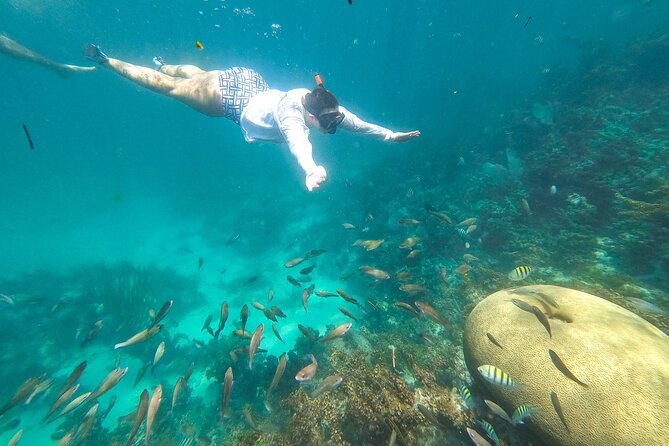 Punta Cana Private Cruise up to 10 Snorkeling & Seafood Lunch - Booking and Confirmation