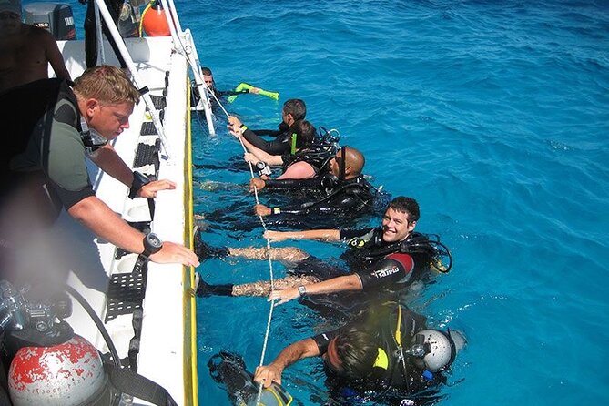 Punta Cana Reef Diving Adventure Explore Underwater Wonders - About Your Stay