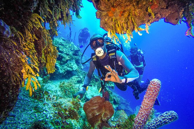 Punta Cana Reef Diving Adventure Explore Underwater Wonders - Capturing Unforgettable Moments