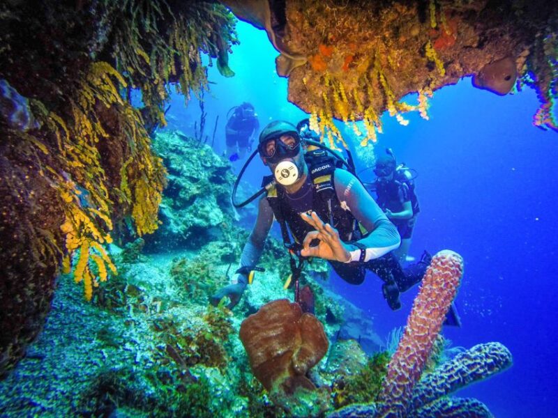 Punta Cana Reef Diving Adventure Explore Underwater Wonders - Key Points