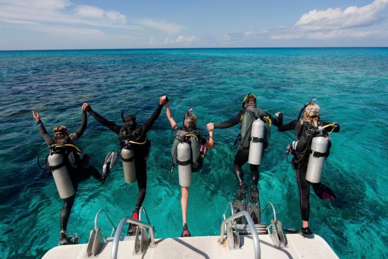 Punta Cana Reef Diving Adventure Explore Underwater Wonders - Suitable for All Experience Levels