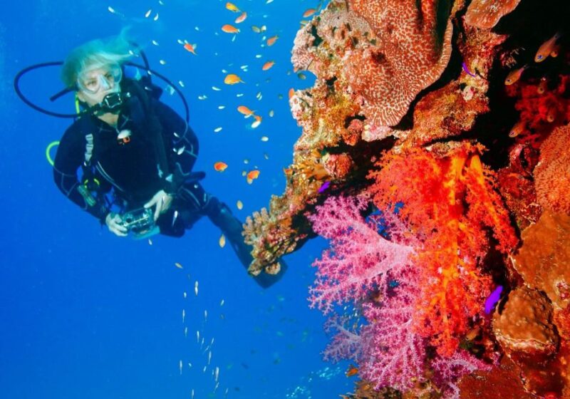 Punta Cana Reef Diving Adventure Explore Underwater Wonders - Frequently Asked Questions