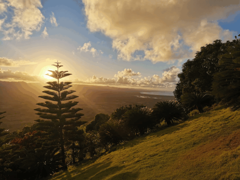 Punta Cana: Round Mountain and Emerald Coast - Customer Experiences