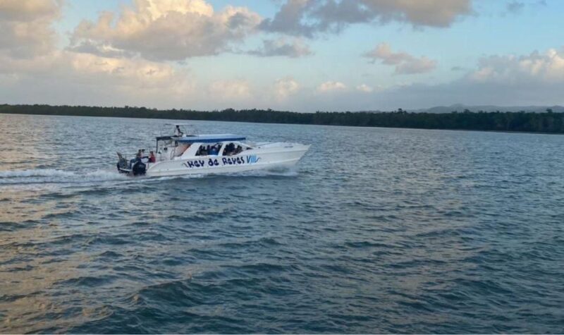 Punta Cana: Samana Cayo Levantado / Visit to the Whale - Included Activities