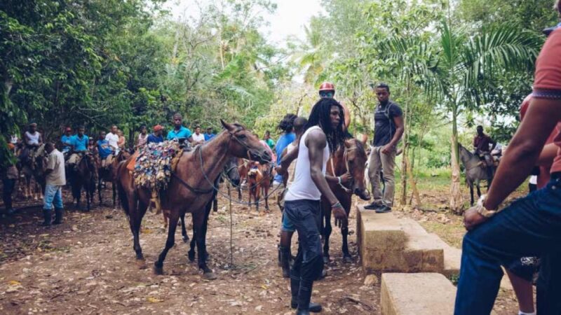 Punta Cana: Samana Full Day Trip Whale El Limon Waterfall - Pickup and Logistics