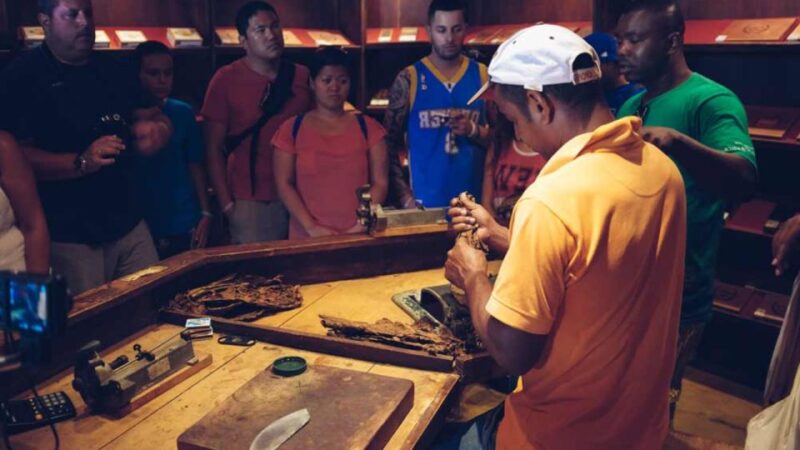 Punta Cana: Samana Full Day Trip Whale El Limon Waterfall - Important Considerations