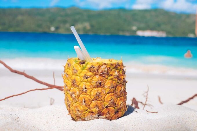 Punta Cana: Samana Full Day Trip Whale El Limon Waterfall - Frequently Asked Questions