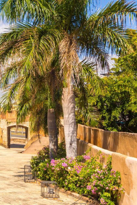 Punta Cana: Santo Domingo Day Trip With Tickets and Lunch - Cancellation Policy