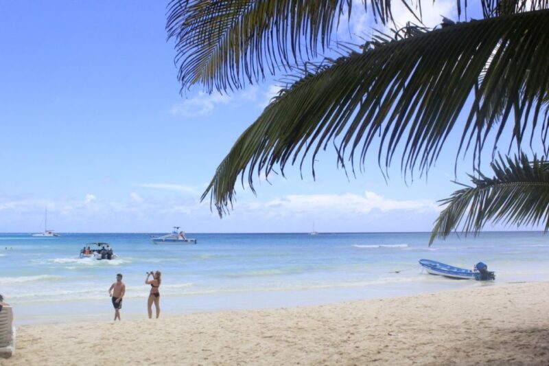 Punta Cana: Saona Island and Altos De Chavón Day Trip - Itinerary Highlights
