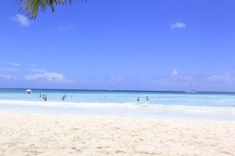 Punta Cana: Saona Island and Altos De Chavón Day Trip - Inclusions and Exclusions