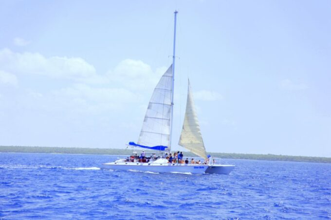 Punta Cana: Saona Island and Altos De Chavón Day Trip - Customer Feedback Highlights