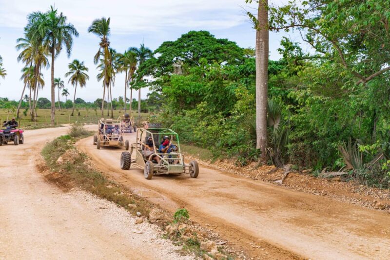 Punta Cana: Saona Island & Buggy Combo Adventure - Saona Island Tour