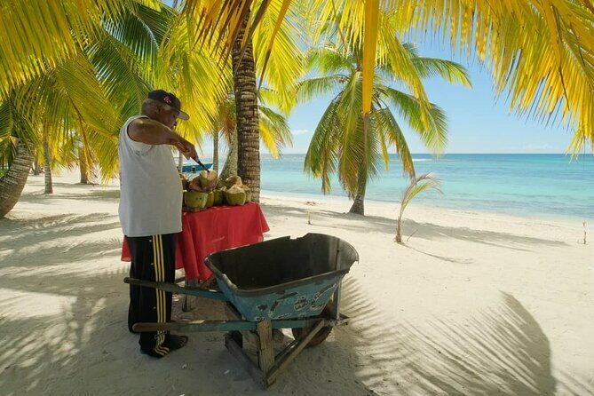 Punta Cana: Saona Island Catamaran Open Bar / Food Hotel Pickup - The Lively Atmosphere & Potential Drawbacks