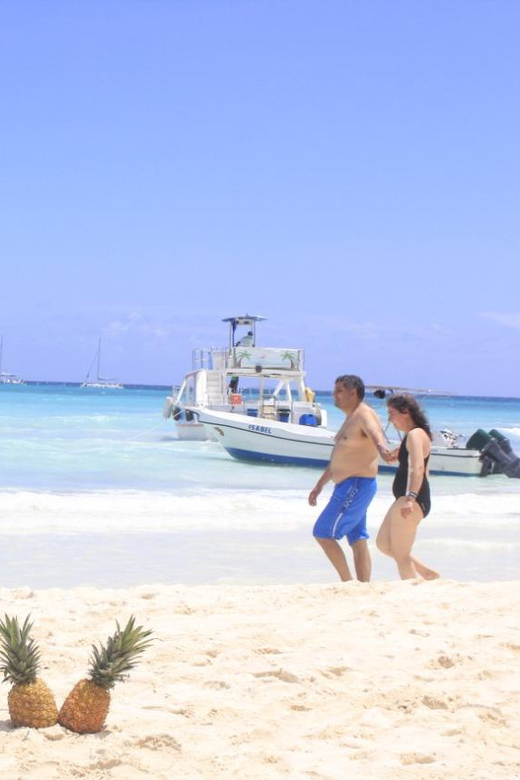 Punta Cana: Saona Island Catamaran Tour & Buffet Lunch - Key Points