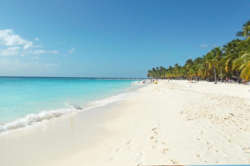 Punta Cana: Saona Island Catamaran Tour & Buffet Lunch - Experience Highlights