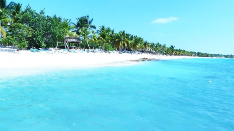 Punta Cana: Saona Island Catamaran Tour & Buffet Lunch - Inclusions
