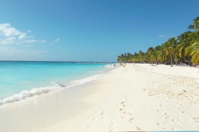 Punta Cana: Saona Island Catamaran Tour & Buffet Lunch - Customer Reviews
