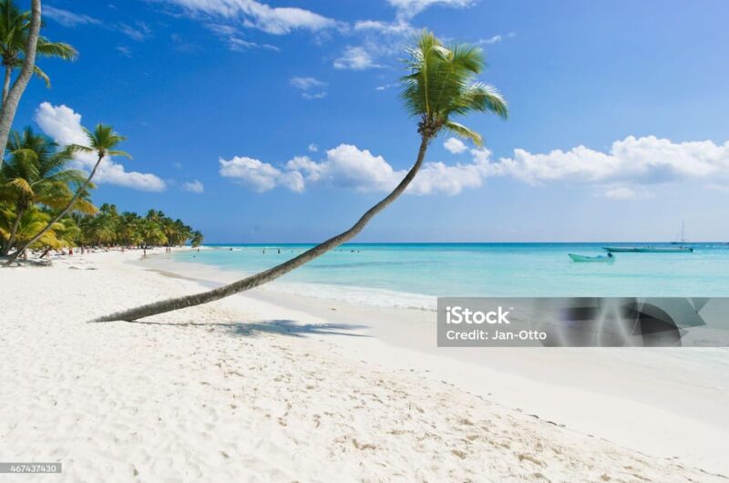 Punta Cana: Saona Island Cruise With Lunch & Open Bar - Key Points