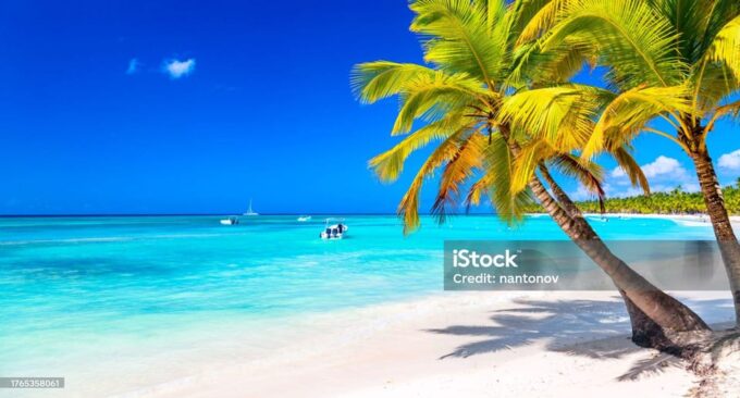 Punta Cana: Saona Island Cruise With Lunch & Open Bar - Customer Feedback