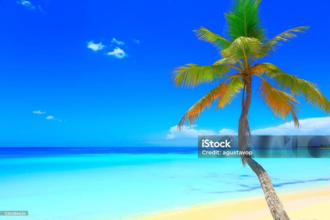 Punta Cana: Saona Island Cruise With Lunch & Open Bar - Important Considerations