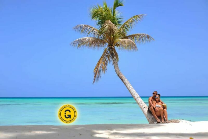 Punta Cana: Saona Island Day Tour and Catamaran Party - Key Points