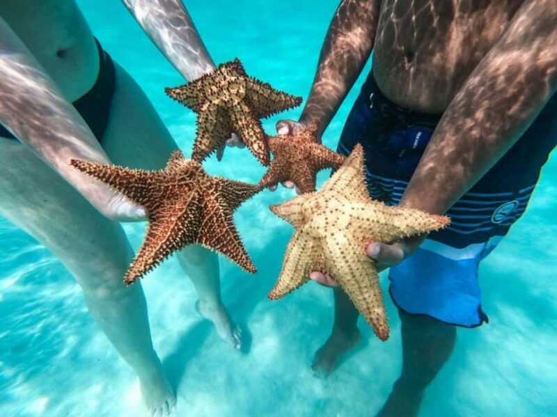 Punta Cana: Saona Island Day Tour and Catamaran Party - Final Thoughts: Should You Book?