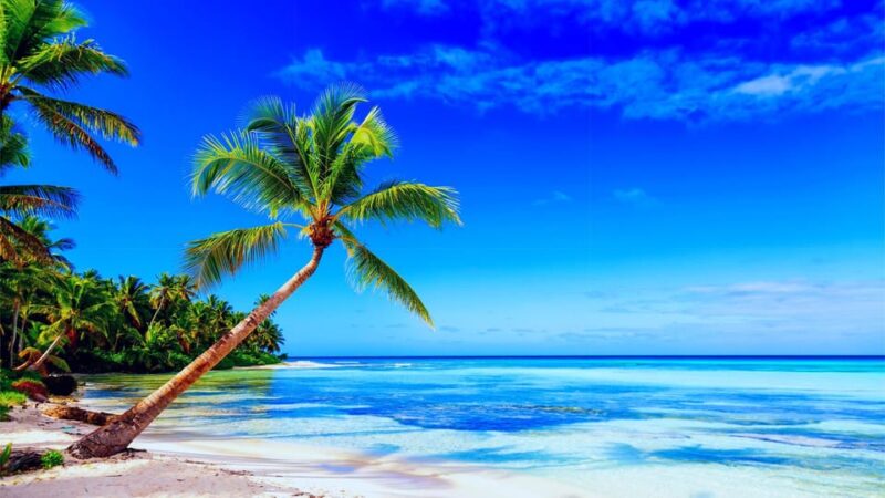 Punta Cana: Saona Island Day Trip With Open Bar and Lunch - Key Points