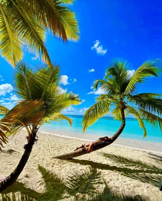 Punta Cana: Saona Island Exclusive Private Beach, Open Bar & Premium Lunch - Introduction