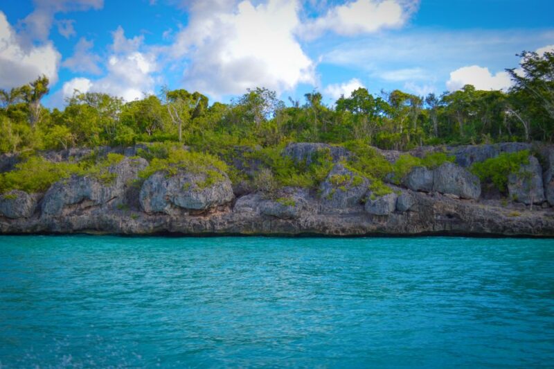 Punta Cana: Saona Island Full Day With Catamaran and Buffet - Key Points
