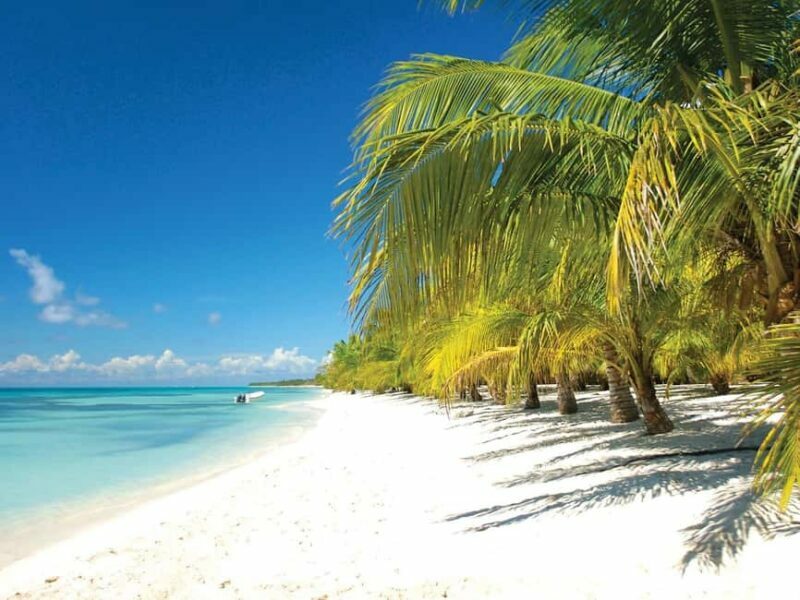 Punta Cana: Saona Island Speedboat and Catamaran Tour - What This Tour Means for You