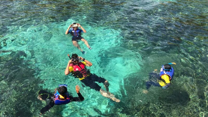 Punta Cana: Saona Island Tour & catamaran food & open Bar - Who This Tour Is Best For