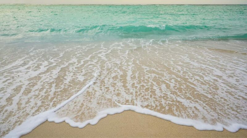 Punta Cana: Saona Island Tour & catamaran food & open Bar - FAQ: Your Quick Guide to the Saona Island Tour