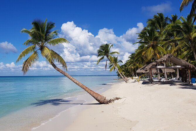 Punta Cana Saona Party Boat With Lobster for Lunch With Lobster Included - Tour Overview