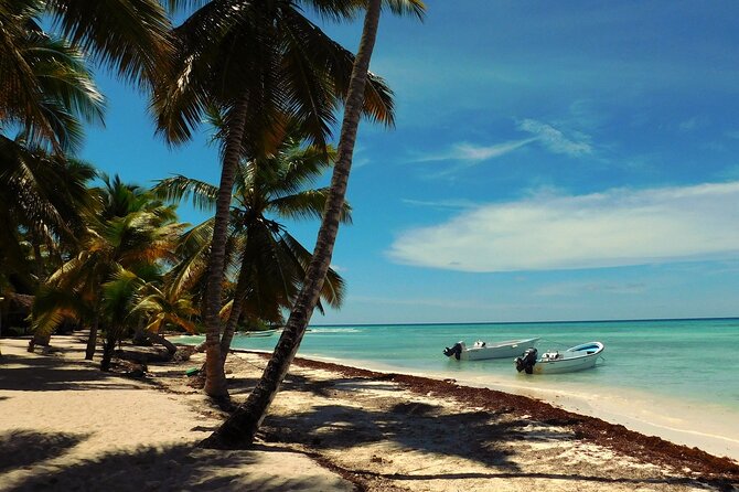Punta Cana Saona Party Boat With Lobster for Lunch With Lobster Included - Schedule and Pickup