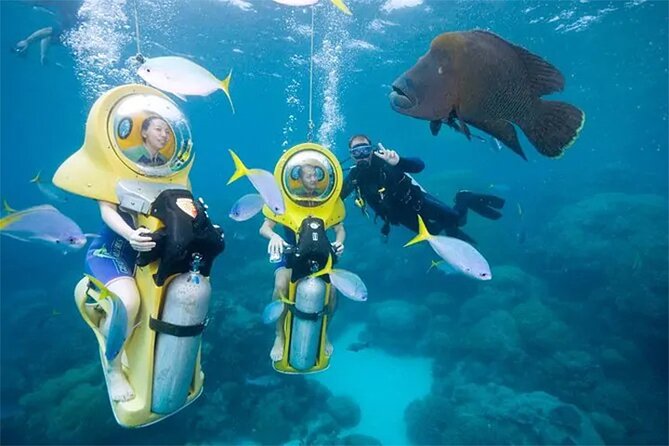 Punta Cana Scuba Doo Adventure Experience - Canadian Managed - Addressing Customer Complaints
