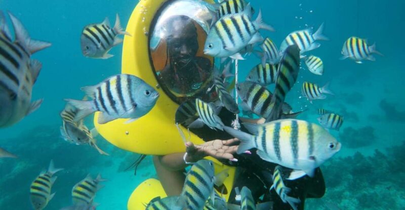 Punta Cana: Scubadoo Ocean Exploration Diving Adventure - Customer Feedback