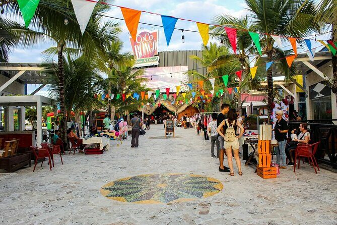 Punta Cana Shopping Tour - Who Should Consider This Tour?