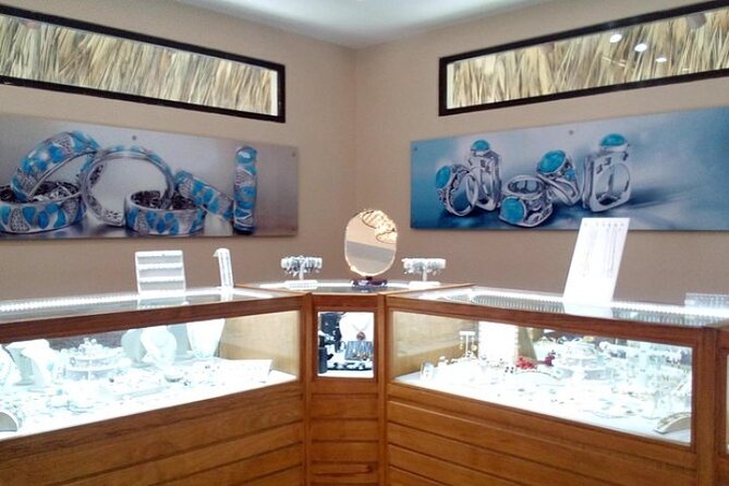 Punta Cana Shopping Tour - Accessibility and Services