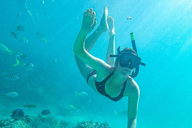Punta Cana Small Group Adults Only Snorkel With Food and Drinks - Overview of the Excursion