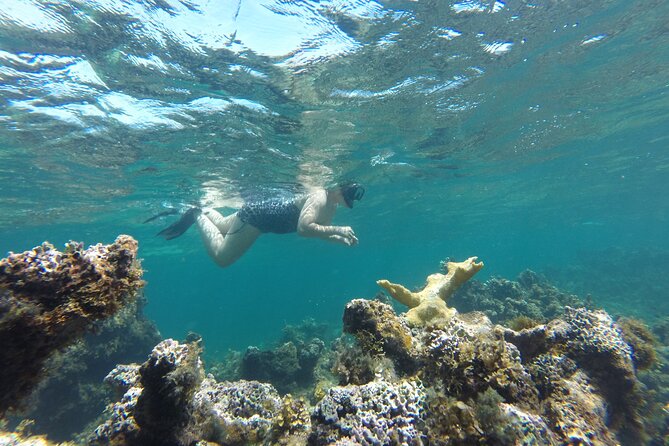 Punta Cana Small Group Adults Only Snorkel With Food and Drinks - Cancellation and Booking Policies