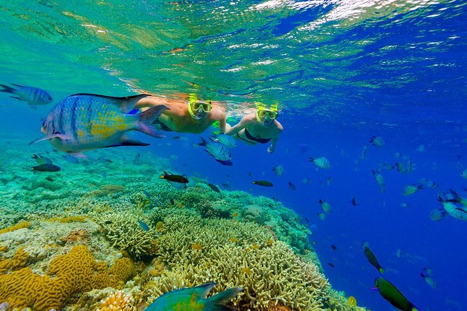 Punta Cana Snorkeling Cruise and Dune Buggy Combo Adventure - Catamaran Cruise and Snorkeling