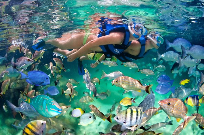 Punta Cana Snorkeling Party Cruise - Music, Drinks, and Tropical Vibes