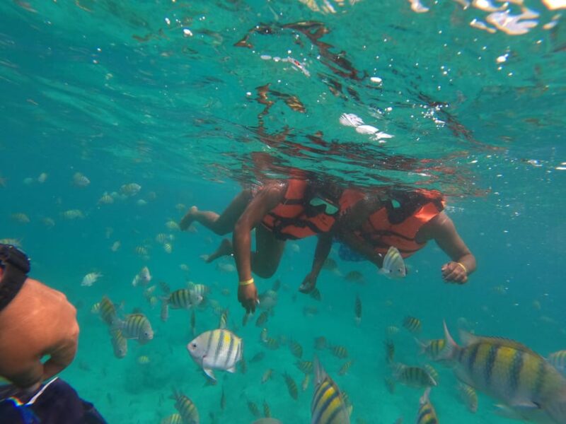 Punta Cana Speed Boat Tour: 2-Hour Self-Drive & Snorkeling - What to Bring