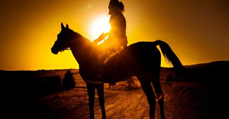Punta Cana: Sunset Horseback Ride in Macao Beach and Forest - Key Points