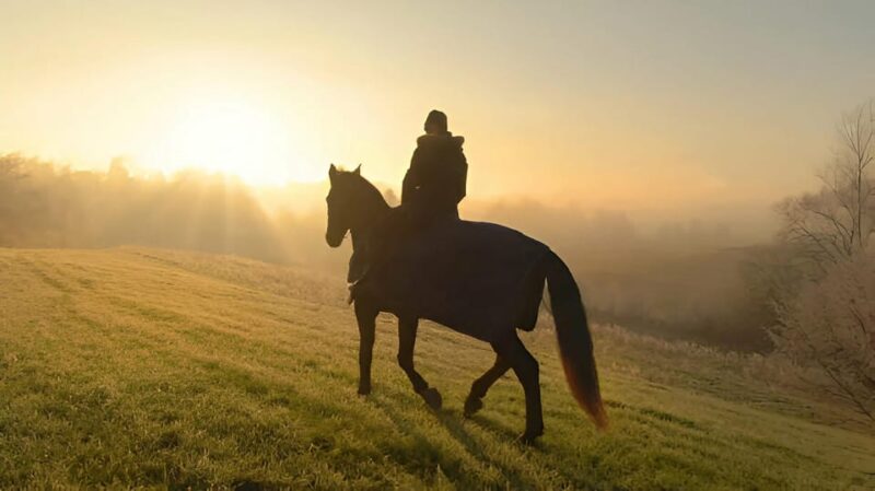 Punta Cana: Sunset Horseback Ride in Macao Beach and Forest - Experience Highlights