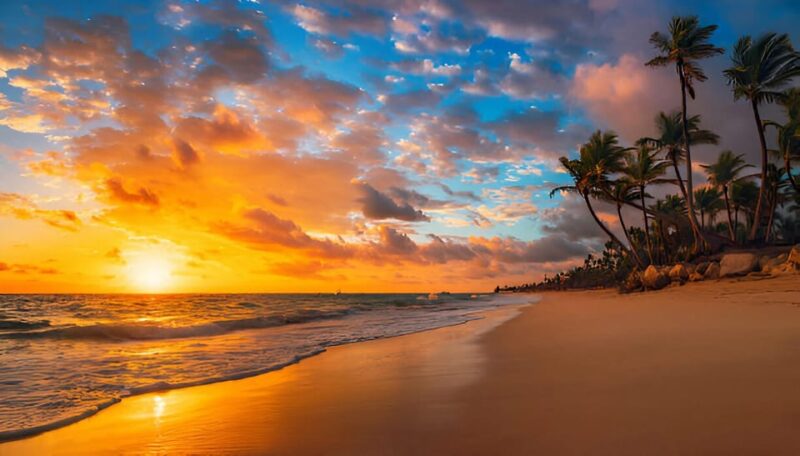 Punta Cana: Sunset Horseback Ride in Macao Beach and Forest - Itinerary Details