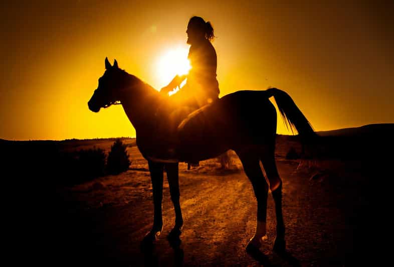 Punta Cana: Sunset Horseback Ride in Macao Beach and Forest - Recommendations and Tips