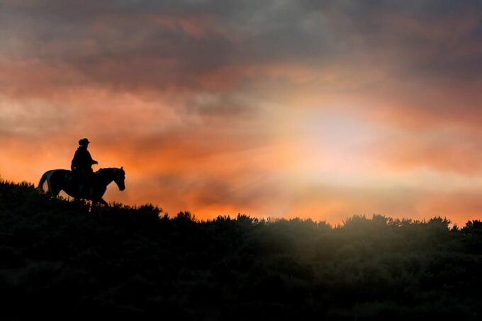 Punta Cana: Sunset Horseback Ride in Macao Beach and Forest - Group Size and Accessibility