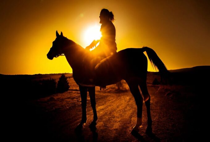 Punta Cana: Sunset Horseback Ride in Macao Beach and Forest - Frequently Asked Questions