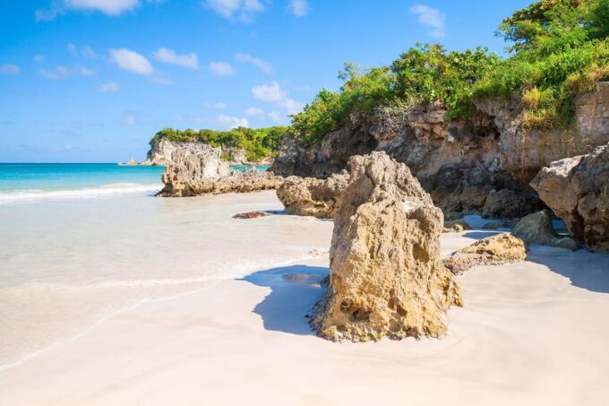 Punta Cana Surfing Experience: Surf in Dominican Republic - Language Options and Audience